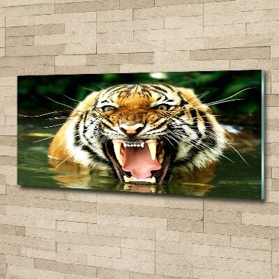 Quadro vetro Tigre ruggente
