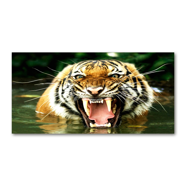 Quadro vetro Tigre ruggente