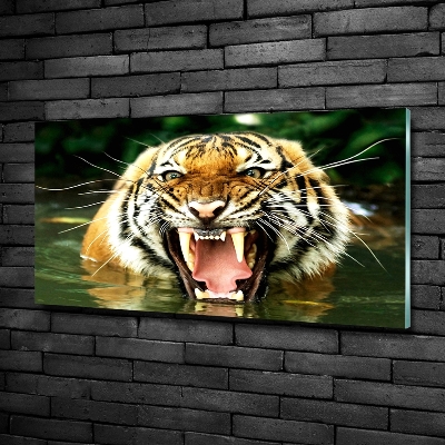 Quadro vetro Tigre ruggente