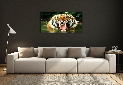 Quadro vetro Tigre ruggente