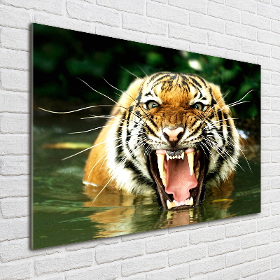 Quadro vetro Tigre ruggente