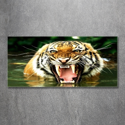 Quadro vetro Tigre ruggente
