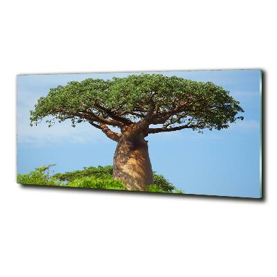Quadro in vetro Baobab