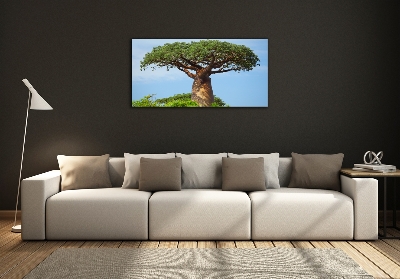 Quadro in vetro Baobab