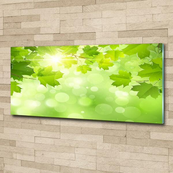 Quadro in verde Foglie di ippocastano