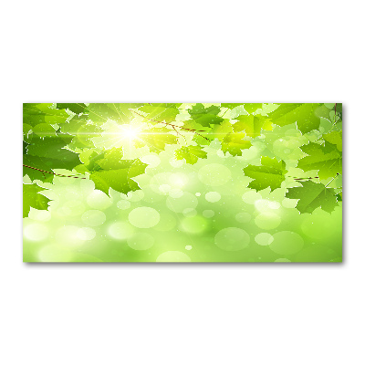 Quadro in verde Foglie di ippocastano