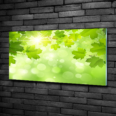 Quadro in verde Foglie di ippocastano