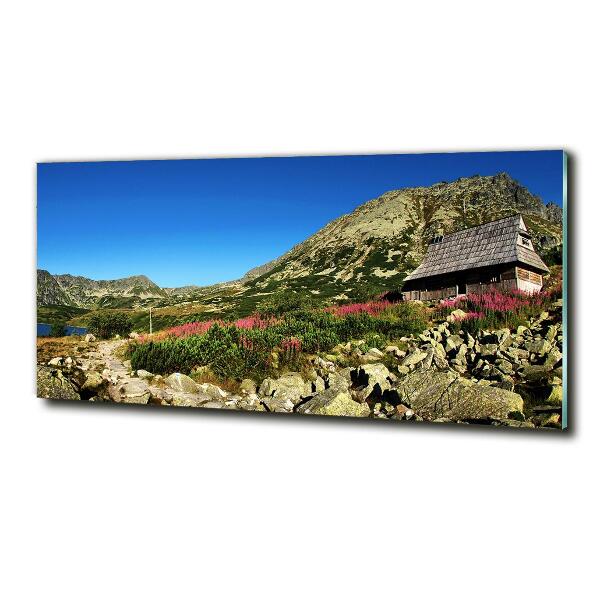 Quadro su vetro Capanna del pastore nella valle