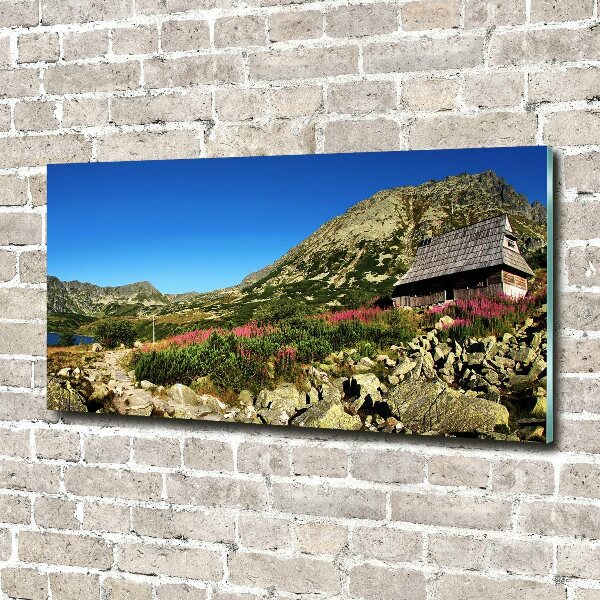 Quadro su vetro Capanna del pastore nella valle