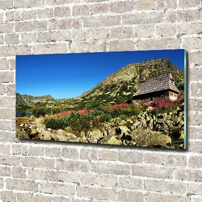 Quadro su vetro Capanna del pastore nella valle