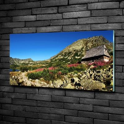 Quadro su vetro Capanna del pastore nella valle