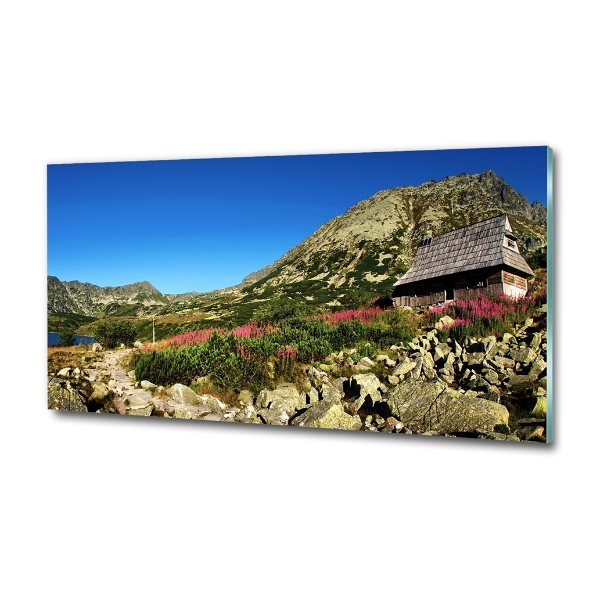 Quadro su vetro Capanna del pastore nella valle