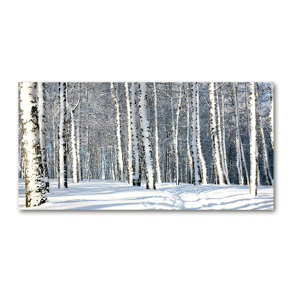 Quadro vetro Foresta in inverno