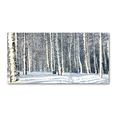 Quadro vetro Foresta in inverno