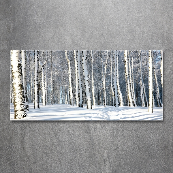 Quadro vetro Foresta in inverno