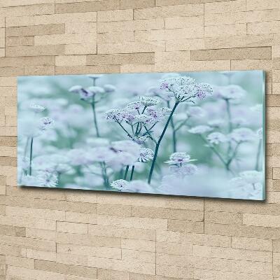 Quadro su vetro Mantlewort maggiore