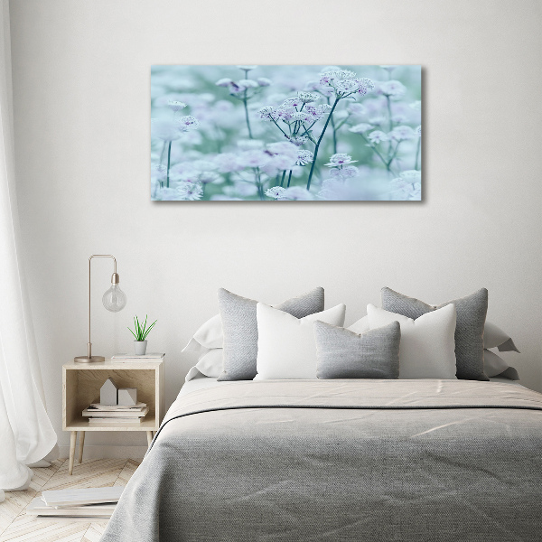 Quadro su vetro Mantlewort maggiore