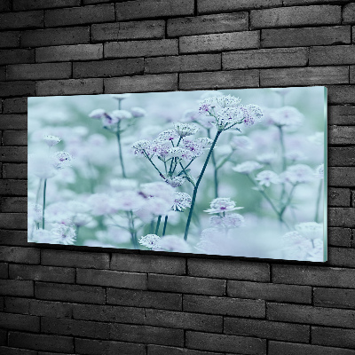 Quadro su vetro Mantlewort maggiore