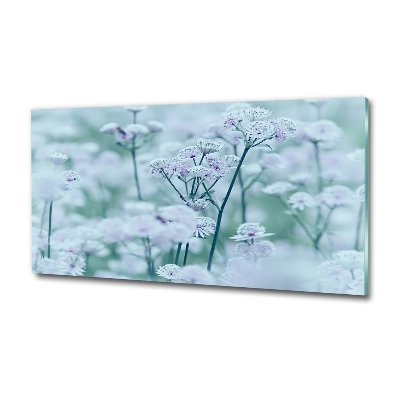 Quadro su vetro Mantlewort maggiore