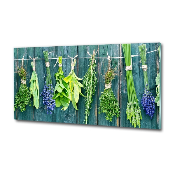 Quadro su vetro Erbe aromatiche su un filo