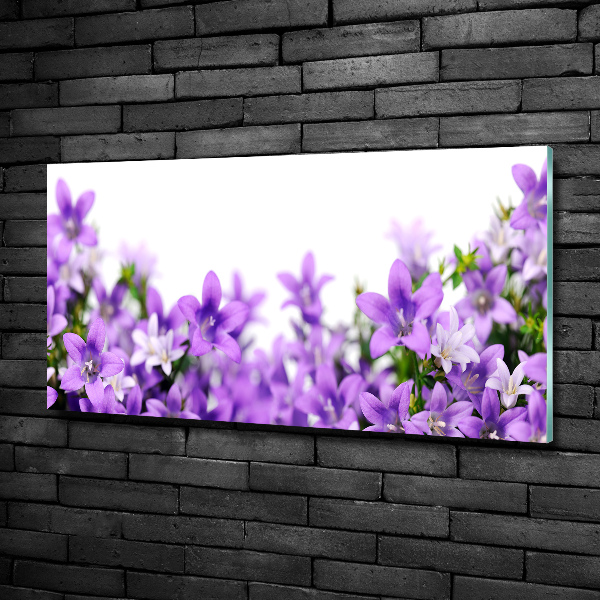Quadro vetro Campanelle viola