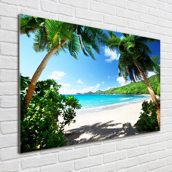 Quadro in verde Spiaggia delle Seychelles
