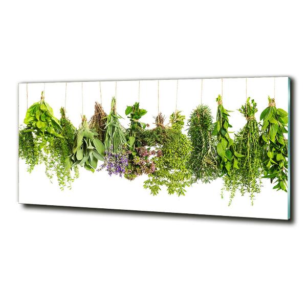 Quadro su vetro Erbe aromatiche su un filo