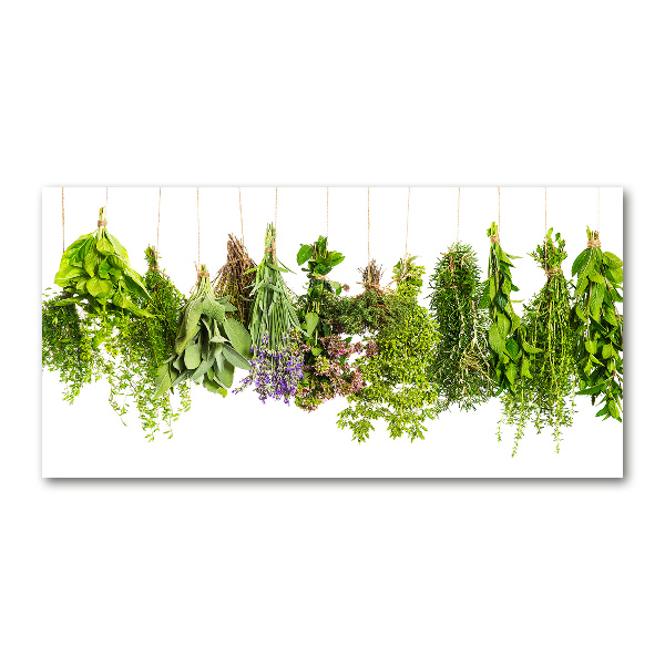 Quadro su vetro Erbe aromatiche su un filo