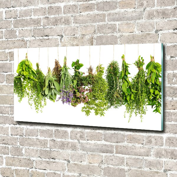 Quadro su vetro Erbe aromatiche su un filo