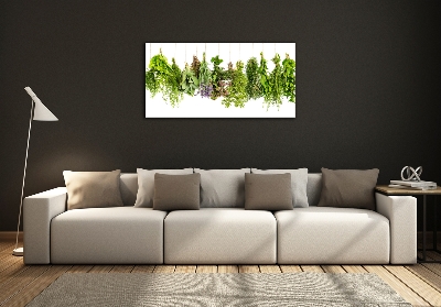 Quadro su vetro Erbe aromatiche su un filo