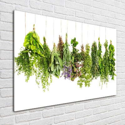 Quadro su vetro Erbe aromatiche su un filo