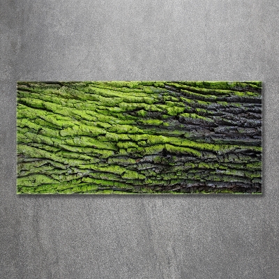 Quadro in vetro Corteccia d'albero