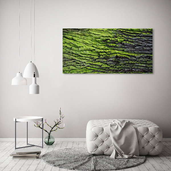 Quadro in vetro Corteccia d'albero