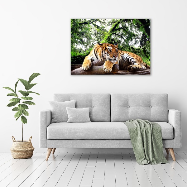 Quadro in verde Tigre su una roccia