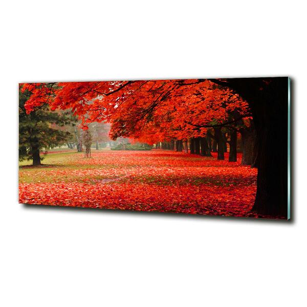 Quadro vetro Alberi in autunno