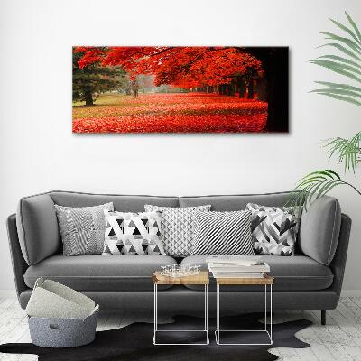 Quadro vetro Alberi in autunno