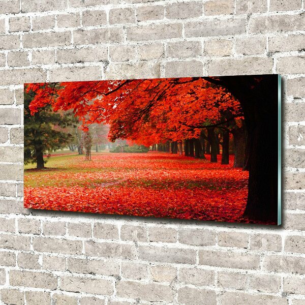 Quadro vetro Alberi in autunno
