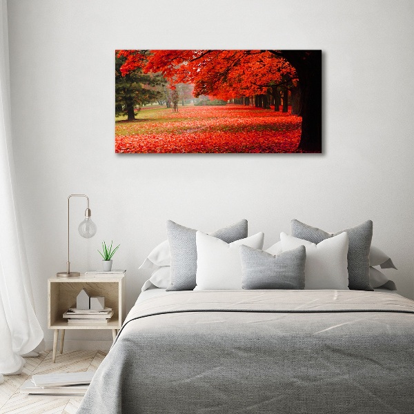 Quadro vetro Alberi in autunno