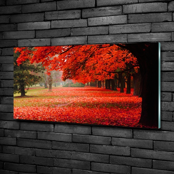 Quadro vetro Alberi in autunno