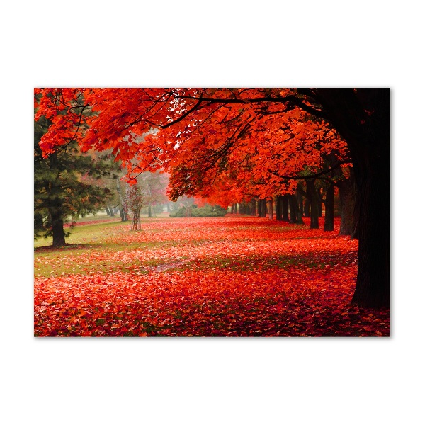 Quadro vetro Alberi in autunno