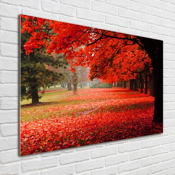 Quadro vetro Alberi in autunno