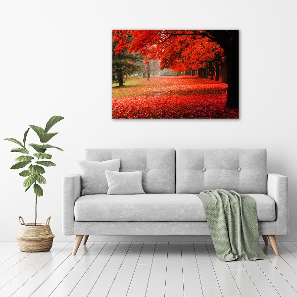 Quadro vetro Alberi in autunno
