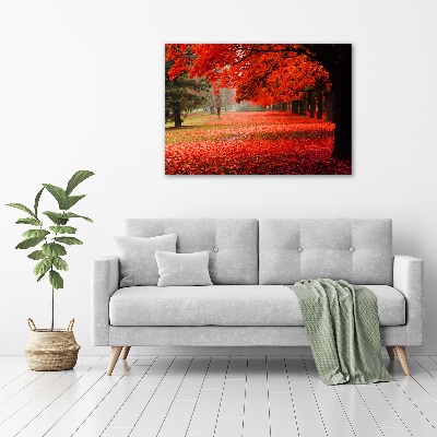 Quadro vetro Alberi in autunno