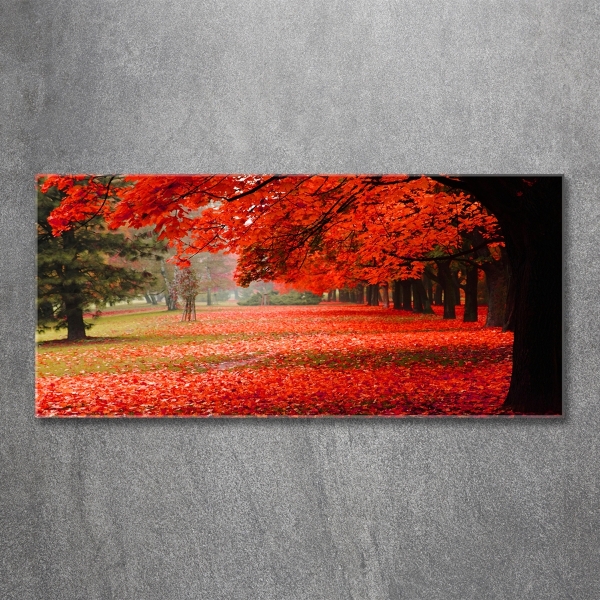 Quadro vetro Alberi in autunno
