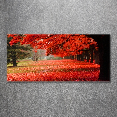 Quadro vetro Alberi in autunno