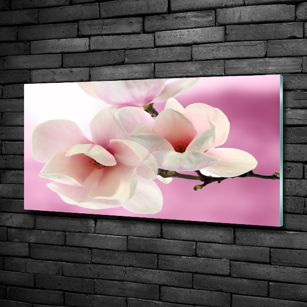 Quadro su vetro Magnolia