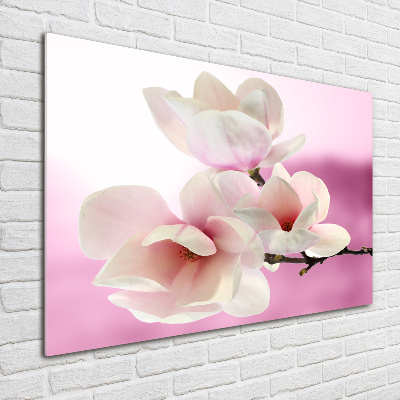 Quadro su vetro Magnolia
