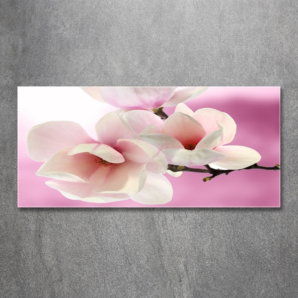 Quadro su vetro Magnolia