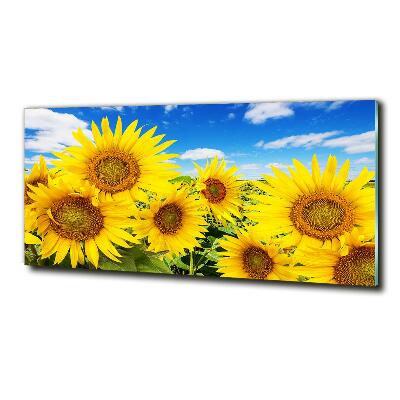 Quadro in verde Girasoli