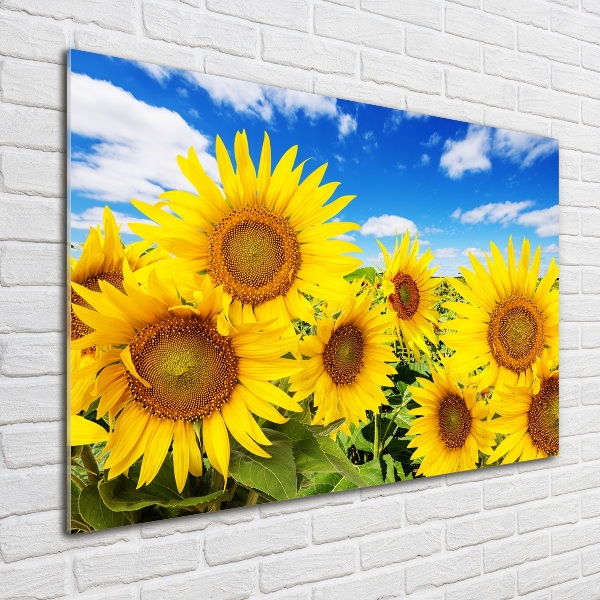 Quadro in verde Girasoli